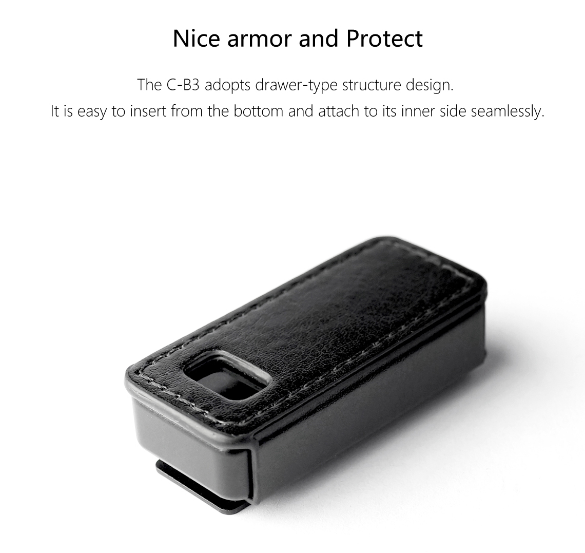 ขาย เคสหนัง DD C-B3 เคสหนังสำหรับ FiiO BTR3