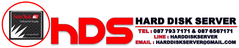 Sandisk Compact Flash Card (CF) 256Mb Industrial Grade