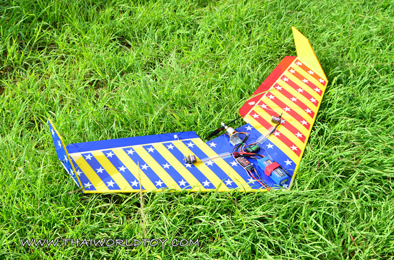 ปีกบินบังคับ 1,000MM.