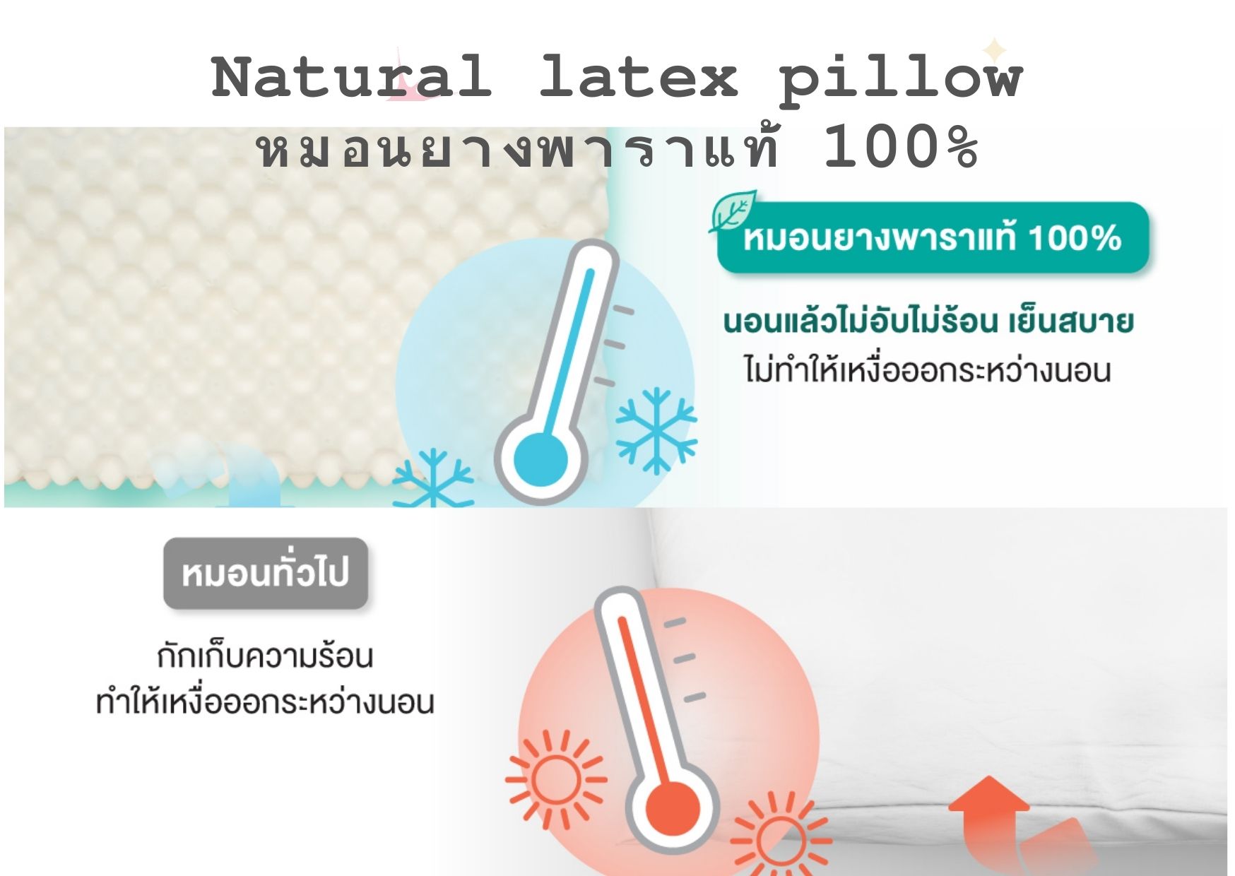 Rehab หมอนยางพารา เพื่อสุขภาพ รุ่น Standard Queen นอนหลับสบายตลอดคืนไม่ปวดคอ