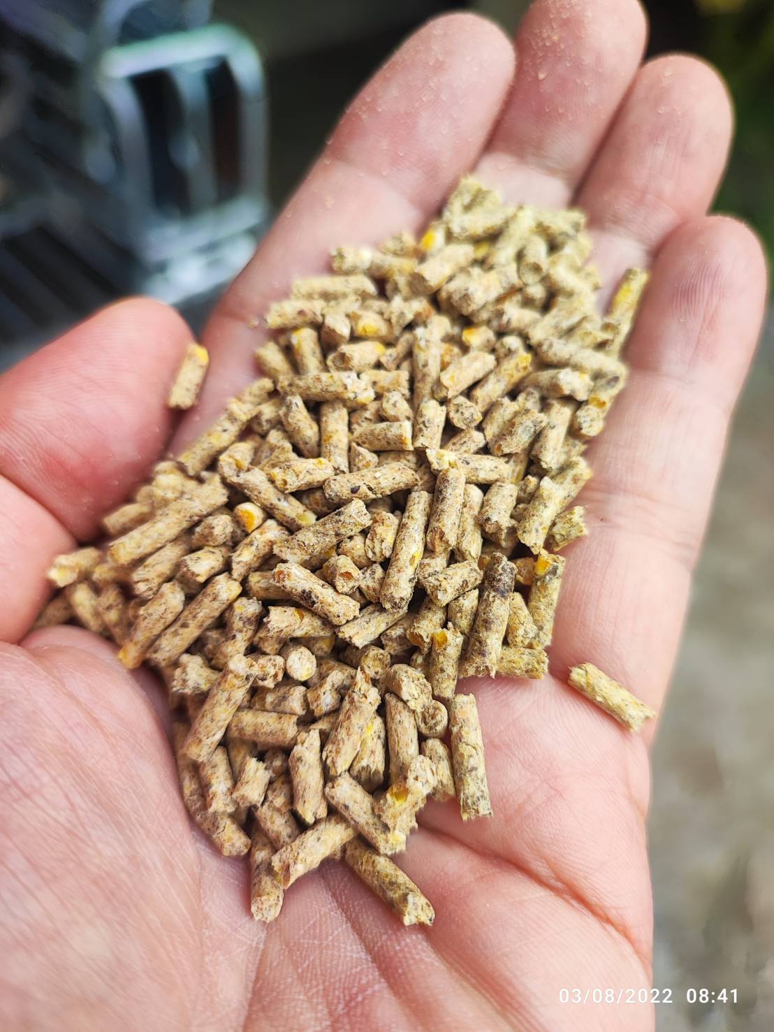 อาหารหมูเล็ก CoA 902 สำหรับสุกรเล็ก 15-30กก (โคเอ)