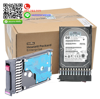 HP 507127-B21, 300GB 10K rpm 2.5inch SAS 507284-001, Server Hard Disk Drive