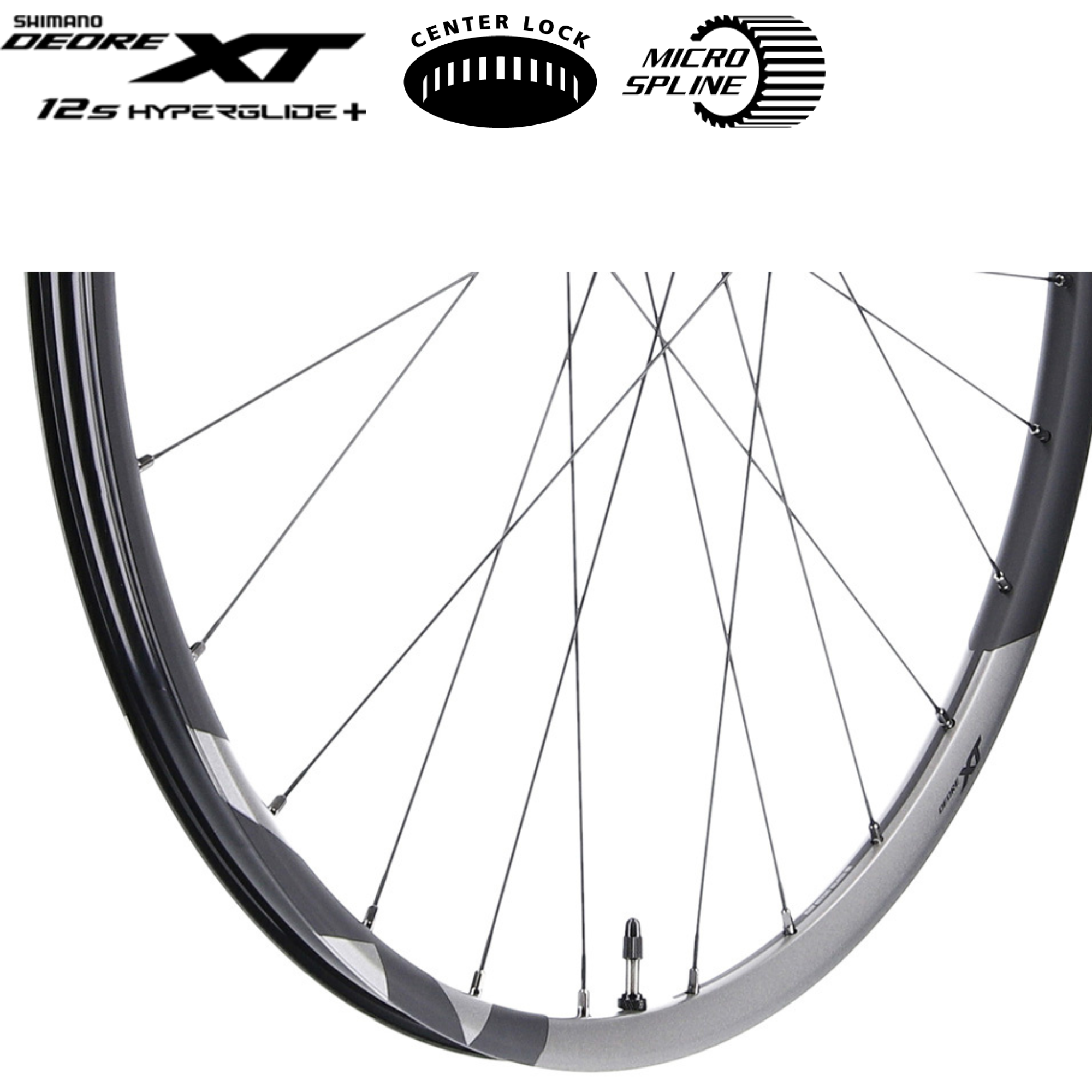 ชุดล้อจักรยานเสือภูเขา SHIMANO DEORE XT Trail Tubeless WH-M8120-TL-R12-B-29