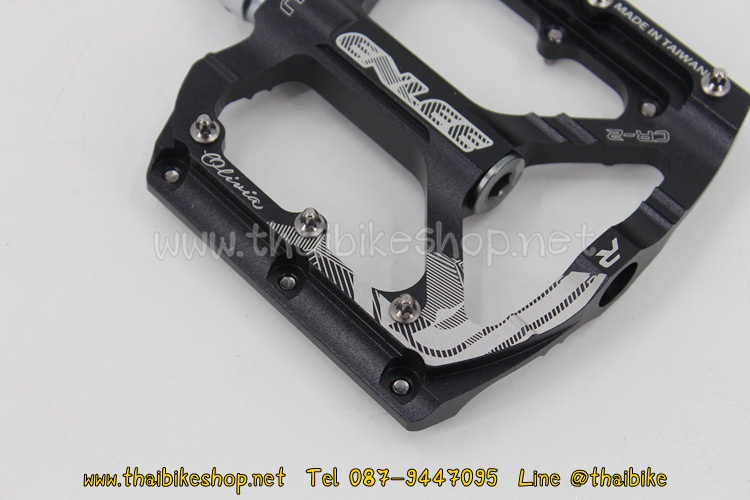 บันไดอลูมิเนียมแบบริ่ง ENLEE