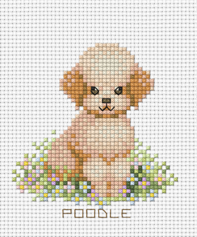 ลูกหมาแสนรัก POODLE
