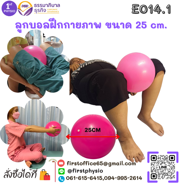 ลูกบอลกายภาพ ขนาด 25 cm. /ลูกบอลออกกำลัง /บอลกายภาพบำบัด (Fitball Mini)