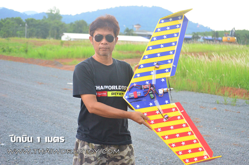 ปีกบินบังคับ 1,000MM.