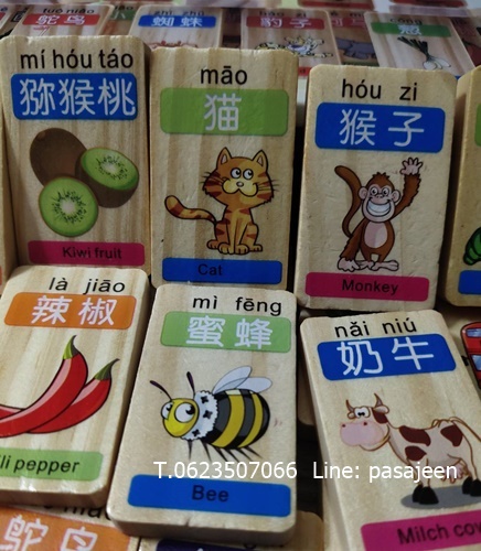 โดมิโนคำศัพท์ (ผลไม้สัตว์) 100ชิ้น สองด้าน