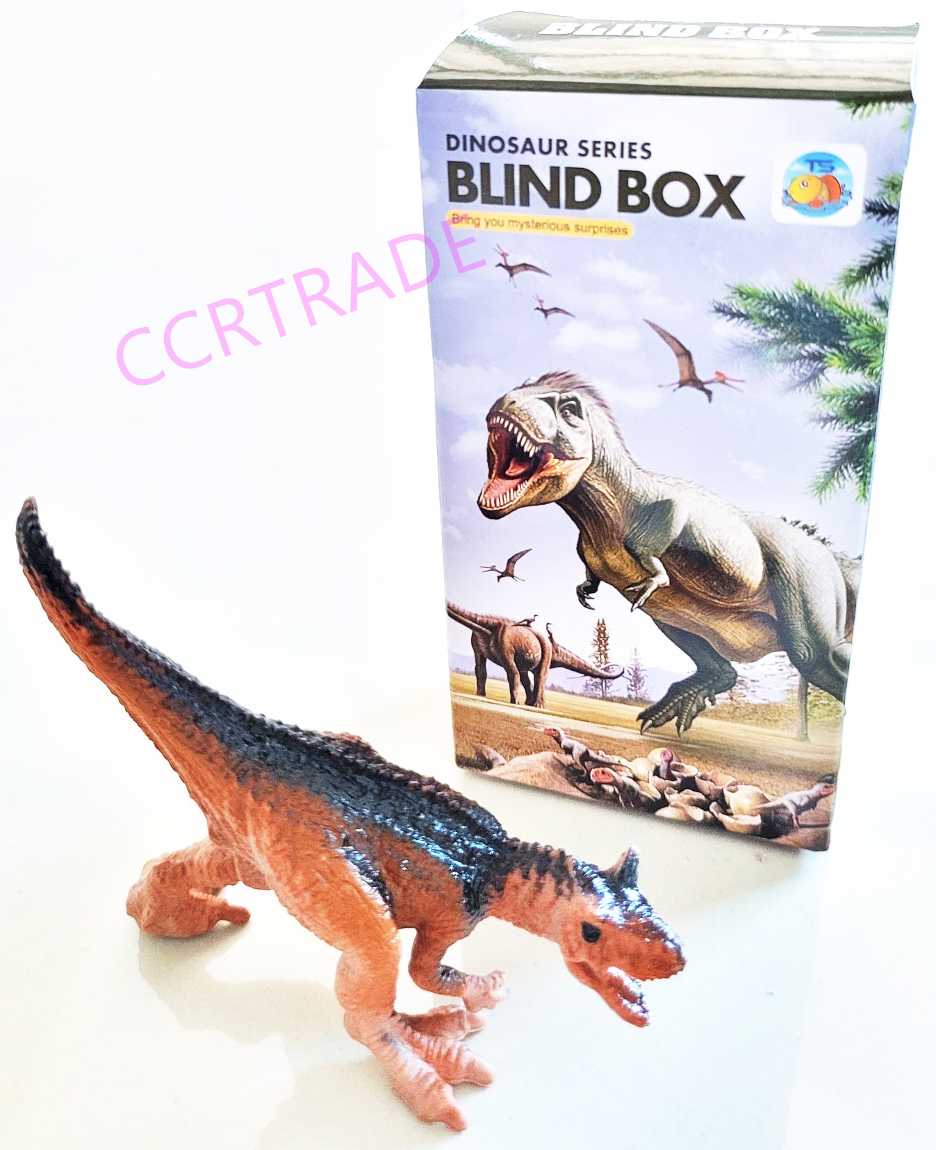 กล่องเซอร์ไพร์สไดโนเสาร์ 6x11.5 ซม.