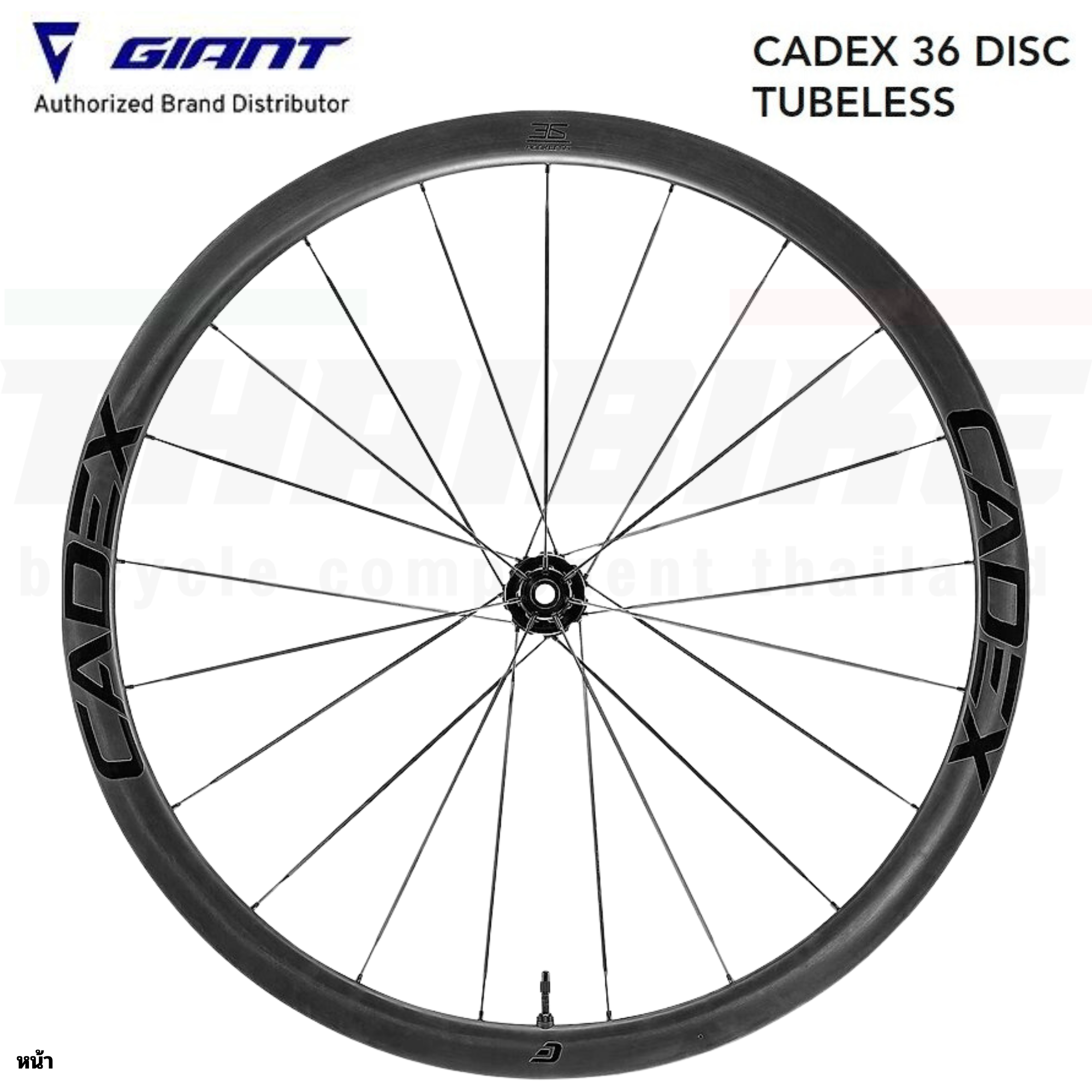 ล้อจักรยานเสือหมอบคาร์บอน GIANT Cadex Disc หน้า+หลัง 36มม.42มม.