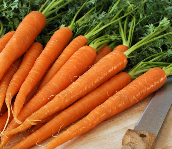 แครอท Carrot