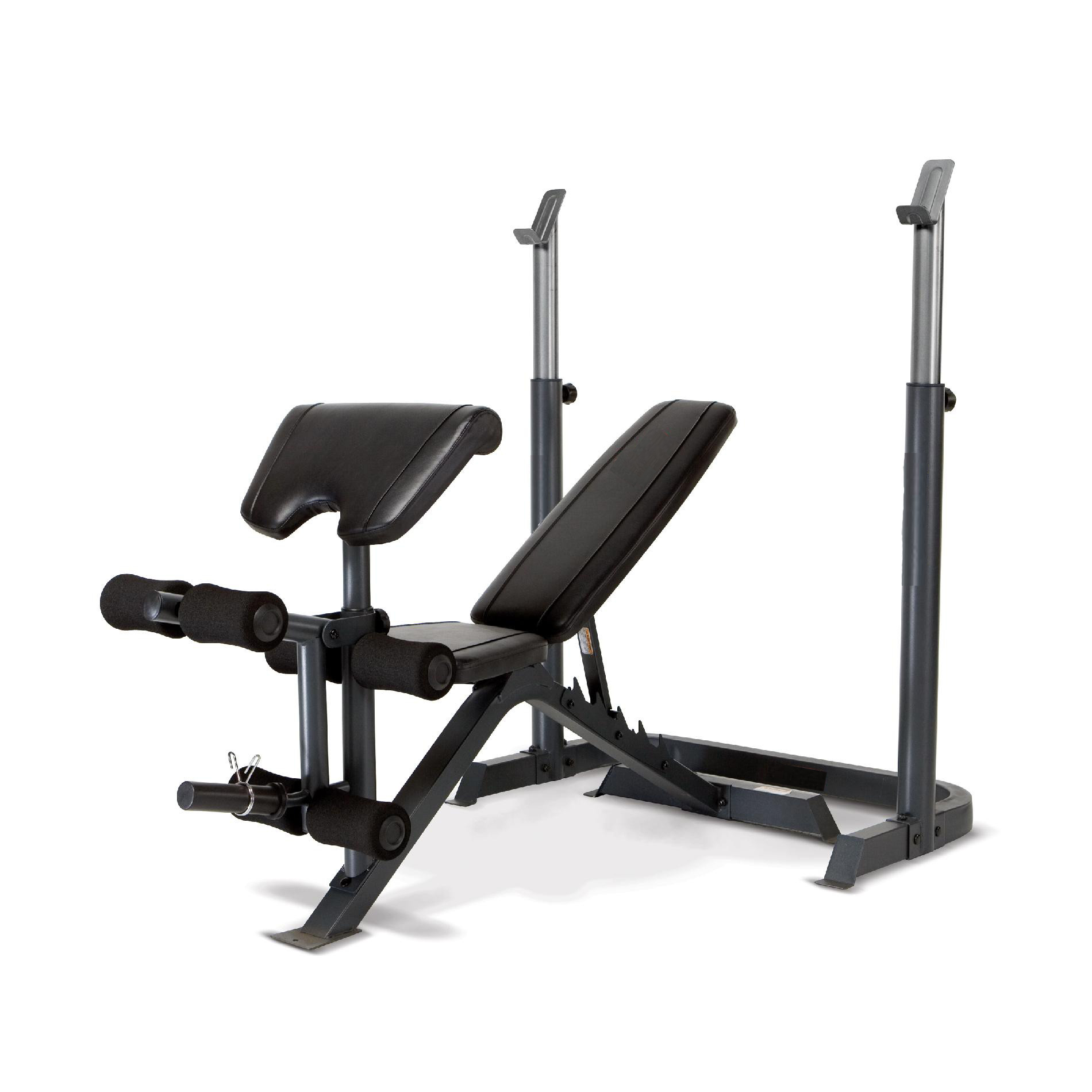 ขายม้าดัมเบลพร้อม rack รุ่น IRON 308