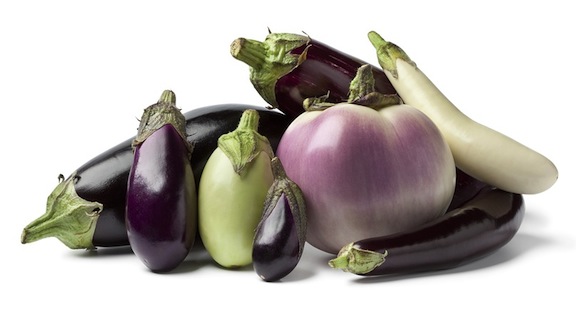 มะเขือเปราะสีขาว Solanum xanthocarpum