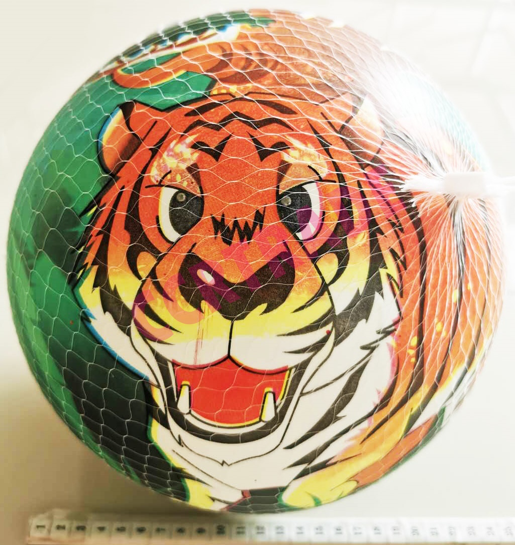 บอลการ์ตูนคละ ถุงตาข่าย 24 ซม.(ลายใหม่)