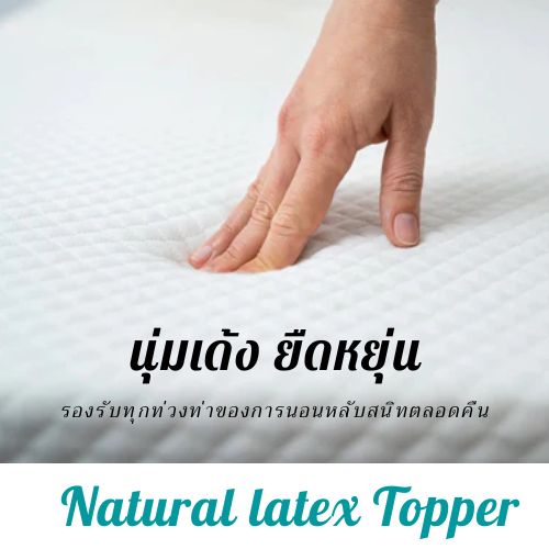 บอกลาปวดหลังด้วย Rehab 7- Zone Back support ที่นอนยางพารา on top ยางพารา ขนาด 3.5-5-6 ฟุต หนา 2 นิ้ว