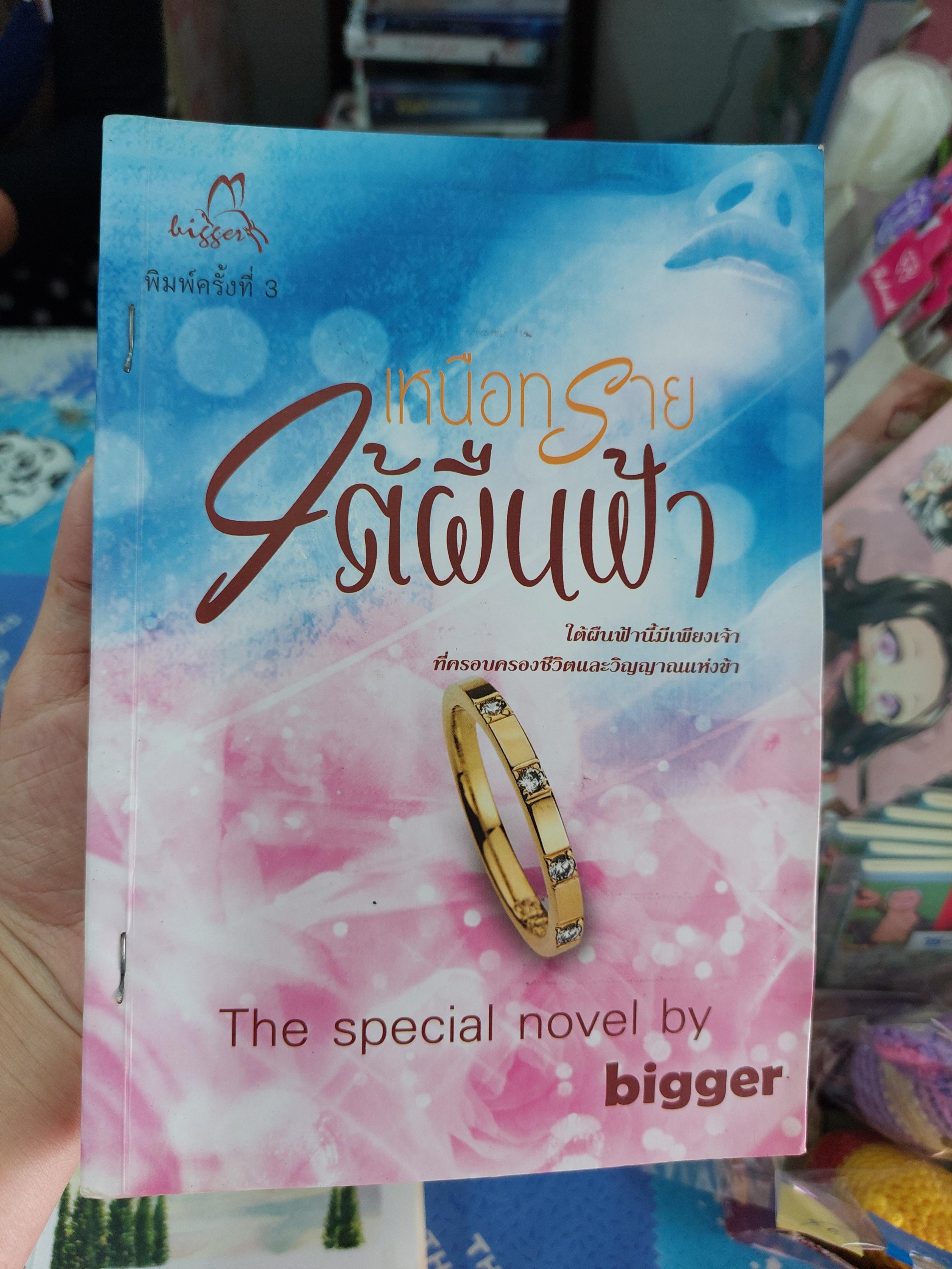 เหนือทรายใต้ผืนฟ้า /bigger
