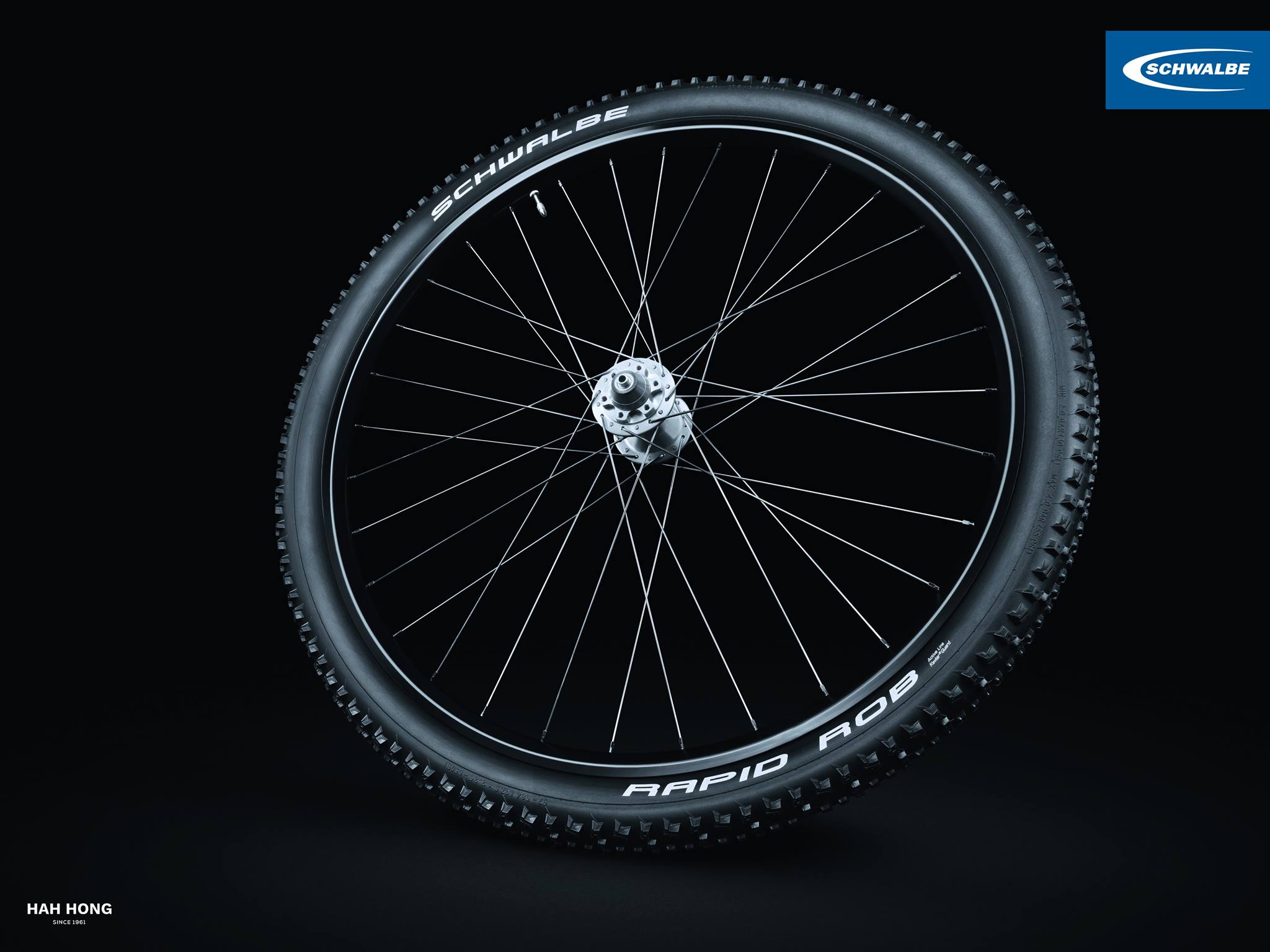 ยางนอกจักรยานเสือภูเขา SCHWALBE ยางนอก MTB รุ่น RAPID ROB, ขอบลวด, 29X2.10, สีดำ