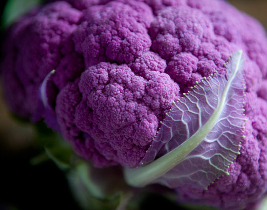 Purple Cauliflower Garden Vegetable seed