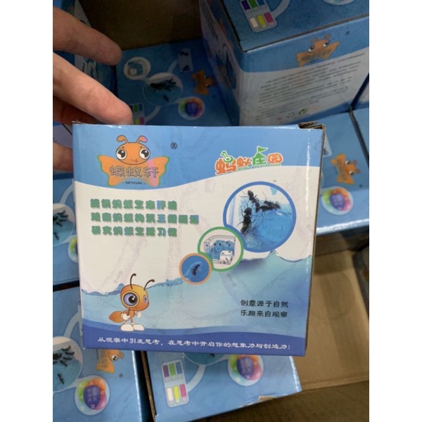 บ้านมด บ้างเลี้ยงมด ที่เลี้ยงมด 🐜ค่าส่งถูก❤️พร้อมส่งจาก กทม ❤️ส่งไวมากคะ