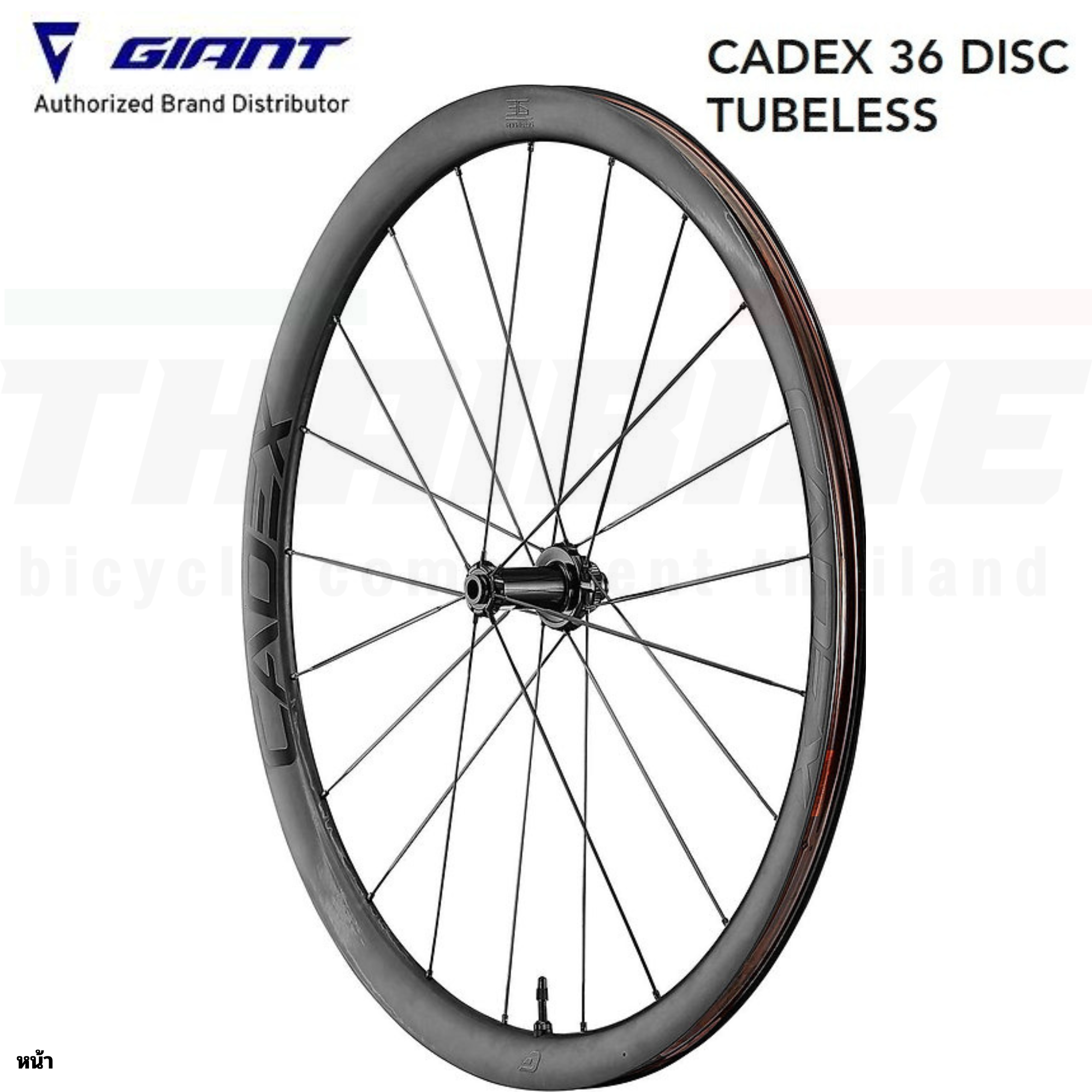 ล้อจักรยานเสือหมอบคาร์บอน GIANT Cadex Disc หน้า+หลัง 36มม.42มม.