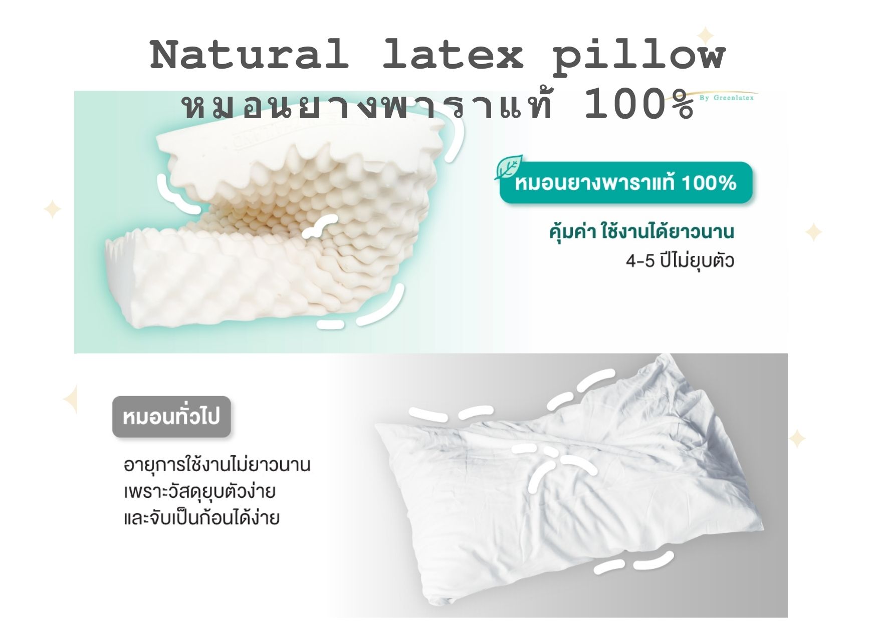 Rehab หมอนยางพารา เพื่อสุขภาพ รุ่น Standard Queen นอนหลับสบายตลอดคืนไม่ปวดคอ