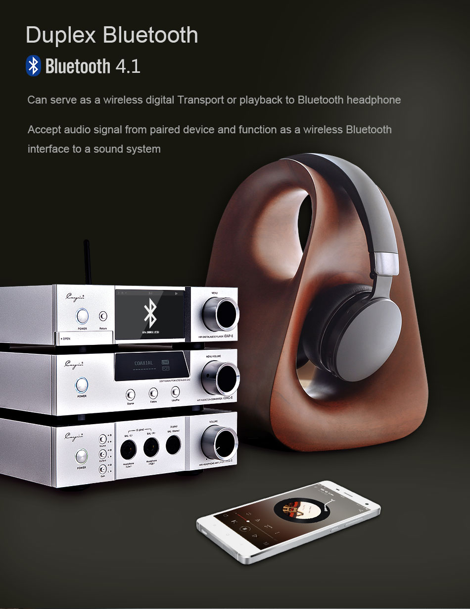 ขาย Cayin IDAP-6 Desktop network player