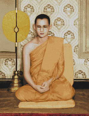 ในหลวงทรงผนวช (ภาพสี)