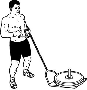 วี กริฟ Chinning Triangle .