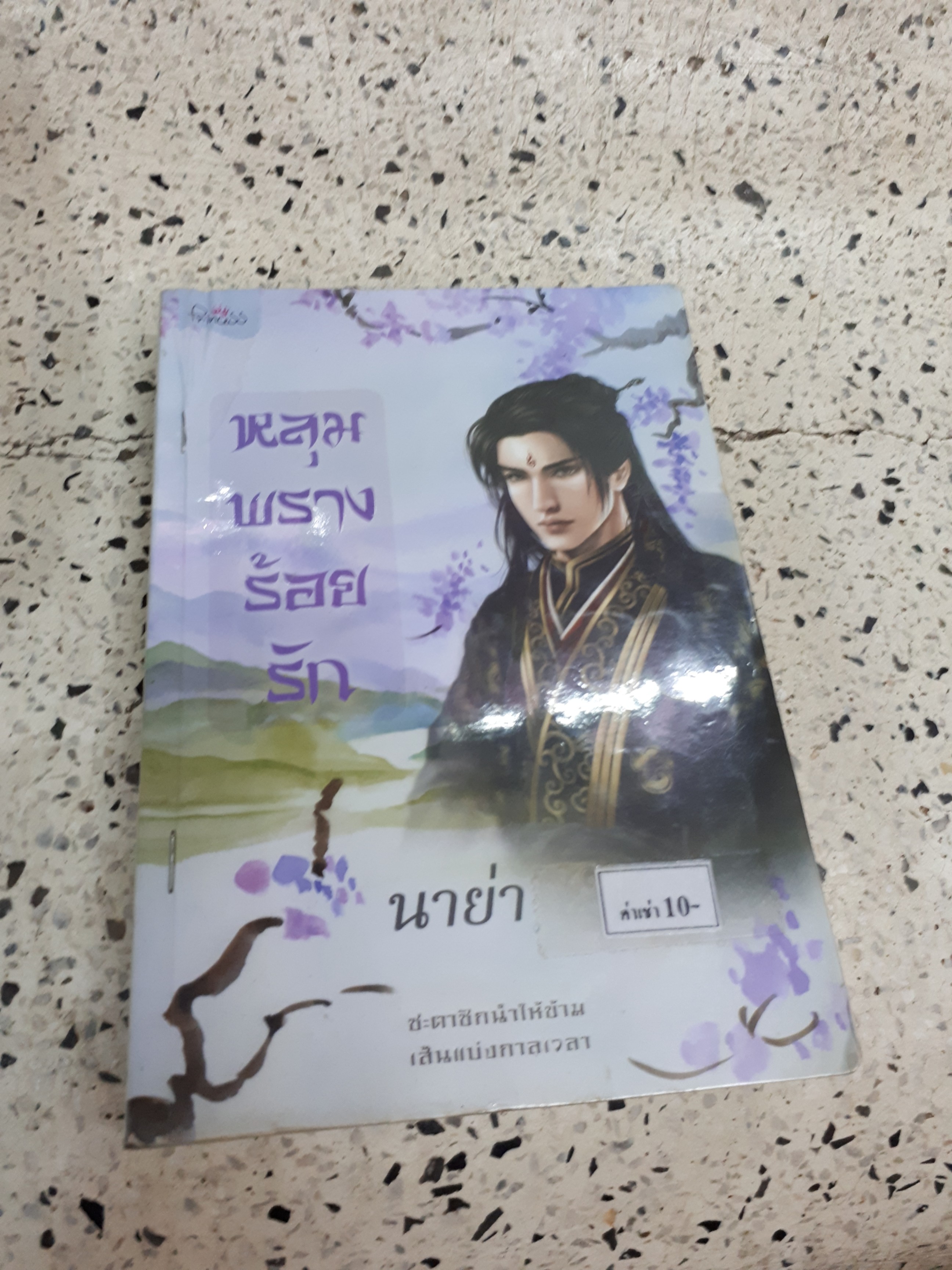 หลุมพรางร้อยรัก /นาย่า