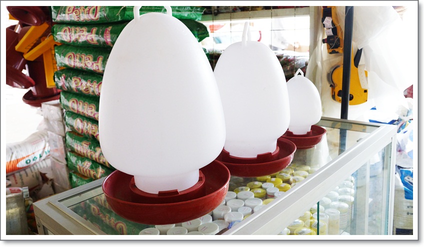 ขวดน้ำไก่ขนาดใหญ่ 2gl (8 ลิตร) สีแดง