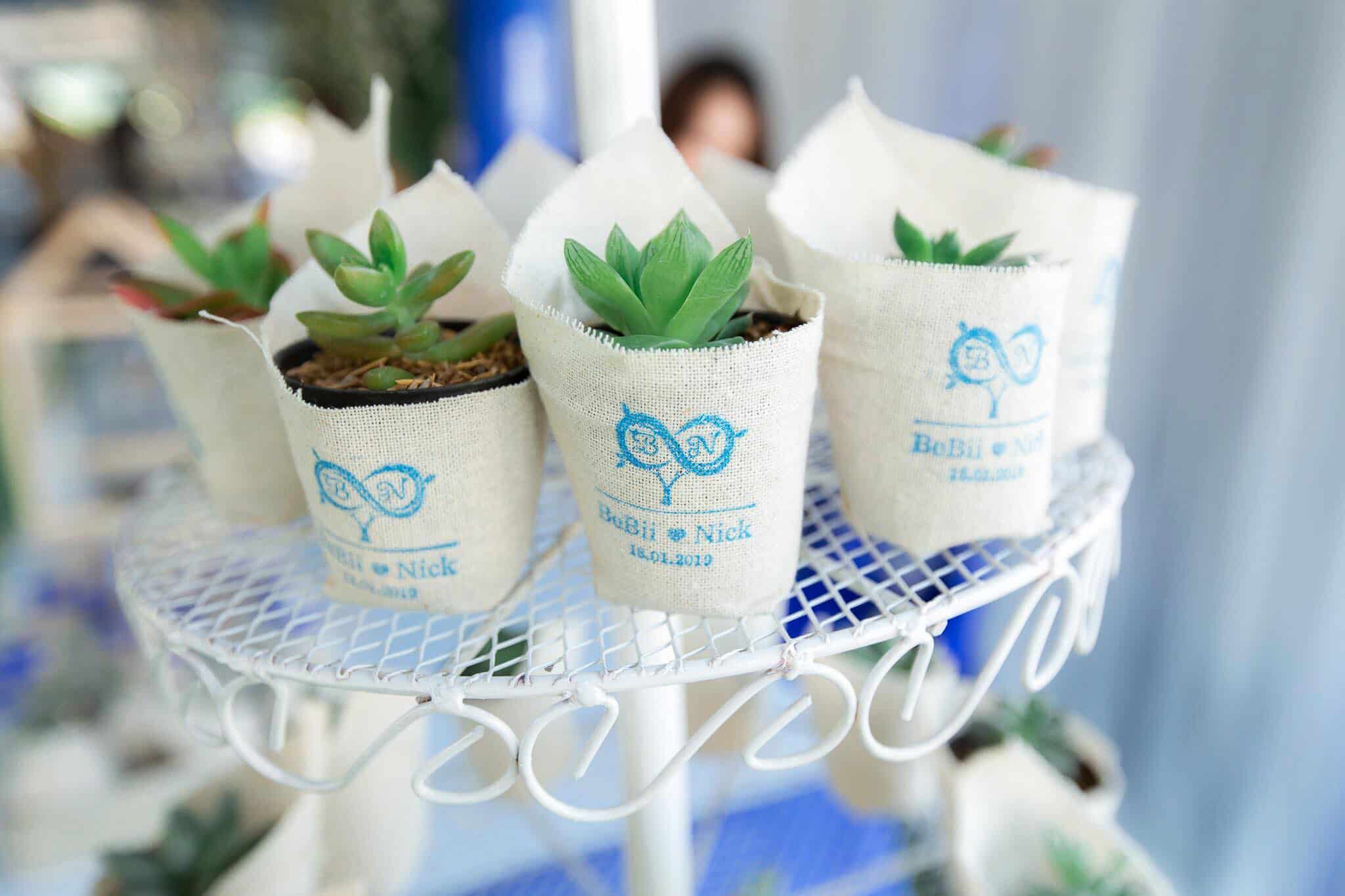 ตรายางปั๊มผ้า ตราปั๊มใส