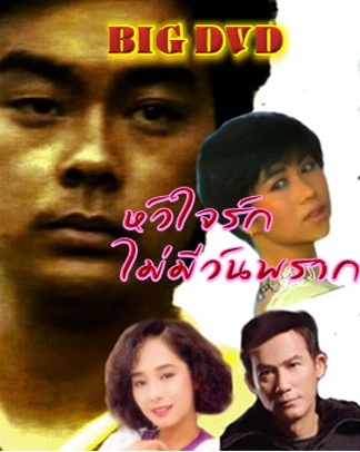 หัวใจรักไม่มีวันพราก A World Apart หนังปี 1990 นำแสดงโดย หลิวชิงหวิน,เหมาซุ่นจวิน, หลีจื่อสง,หยังเป่าหลิง 2 แผ่นภาพชัด 99%