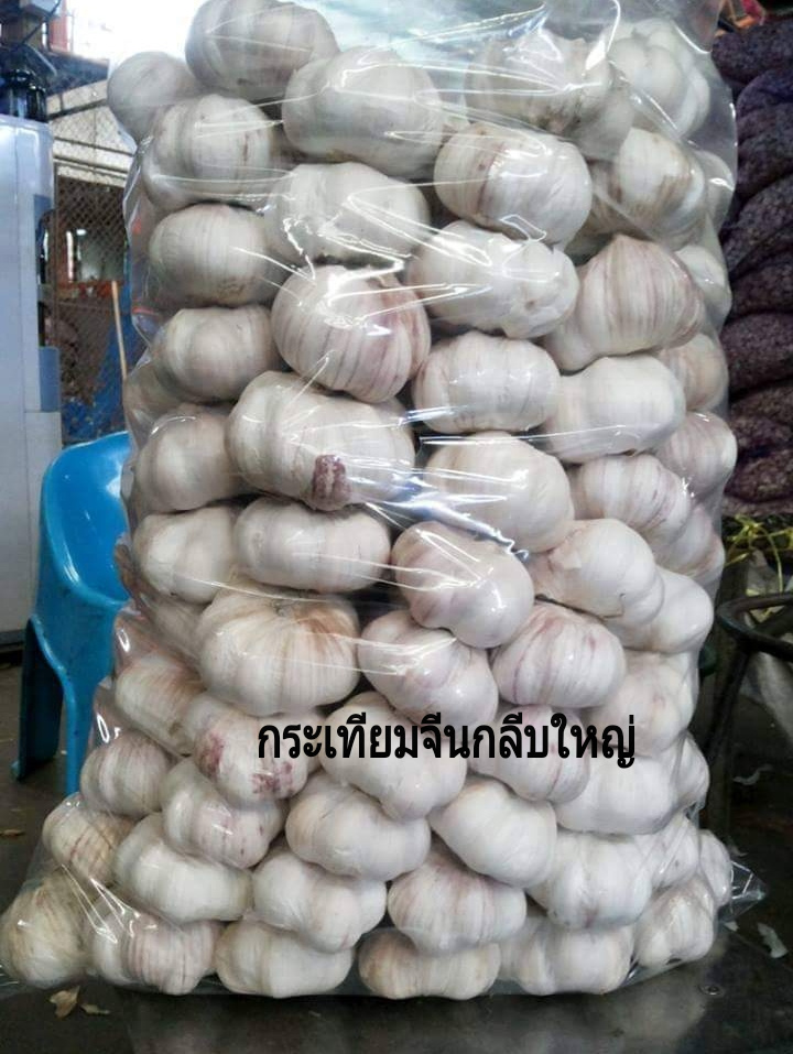 กระเทียมจีนกลีบใหญ่ กระเทียมแห้งตัดจุก ขนาดบรรจุ 1 กิโลกรัม