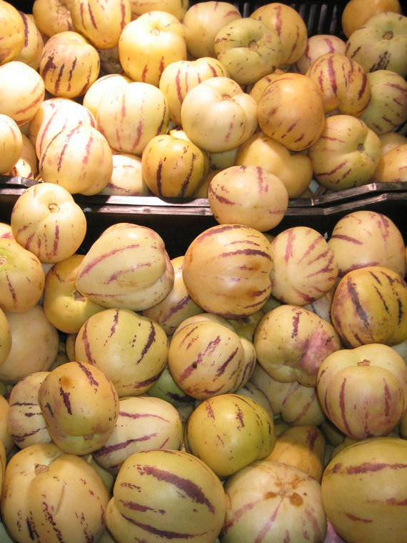 MURICATUM pepino melon
