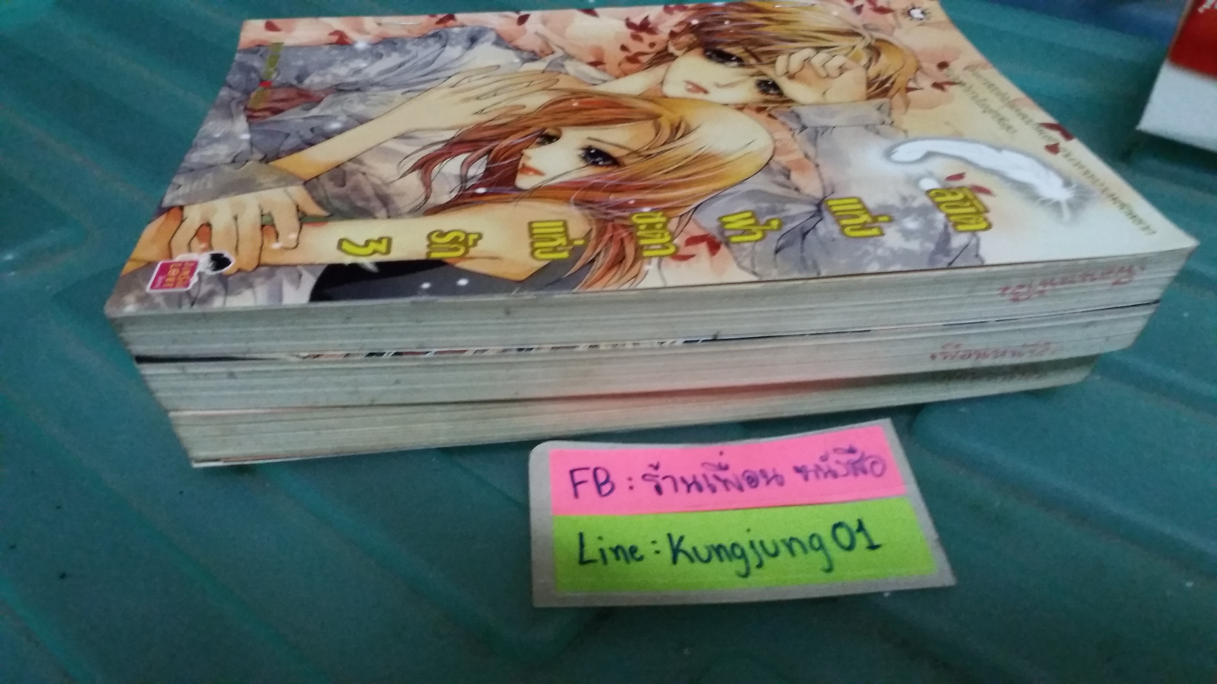 ลิขิตแห่งฟ้าชะตาแห่งรัก 1-3 จบ