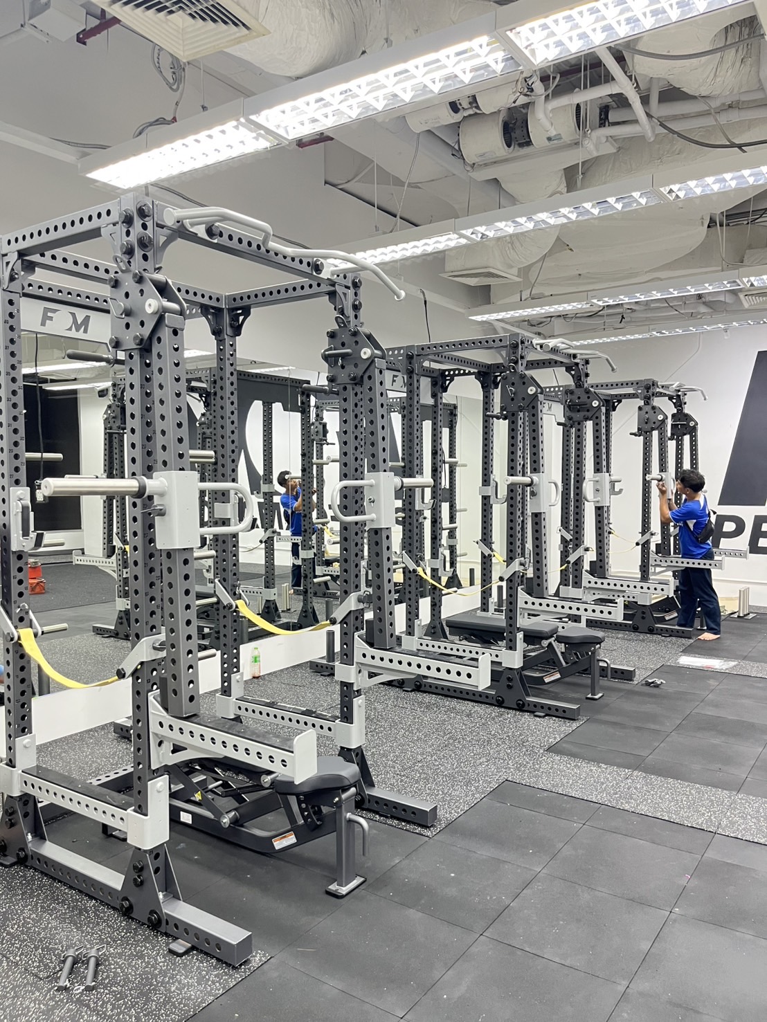 Gym Free Of Movement