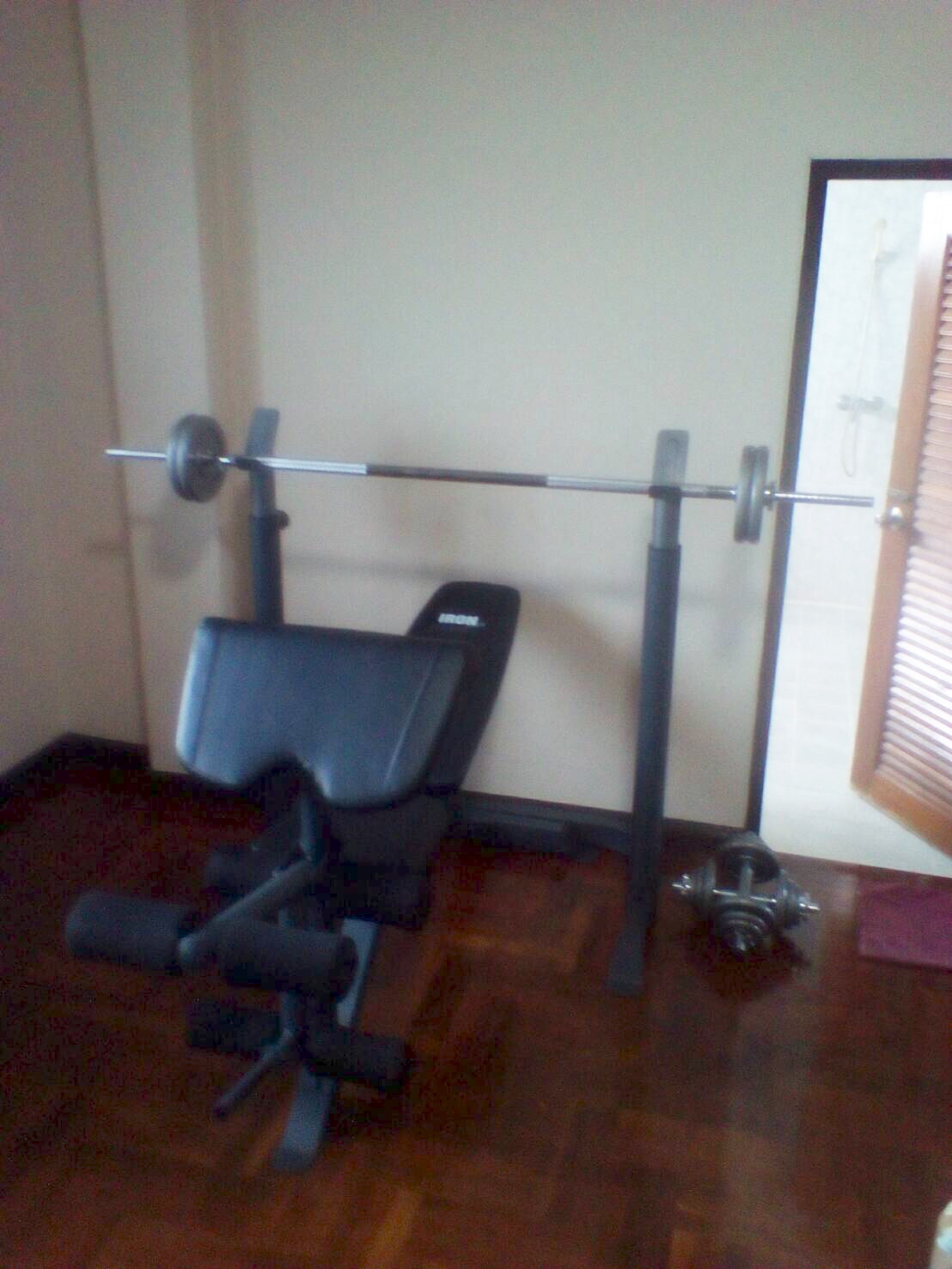 ขายม้าดัมเบลพร้อม rack รุ่น IRON 308