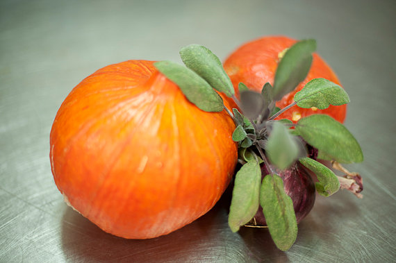 Japanese squash seeds UCHIKI KURI Red kuri, Red Onion squash
