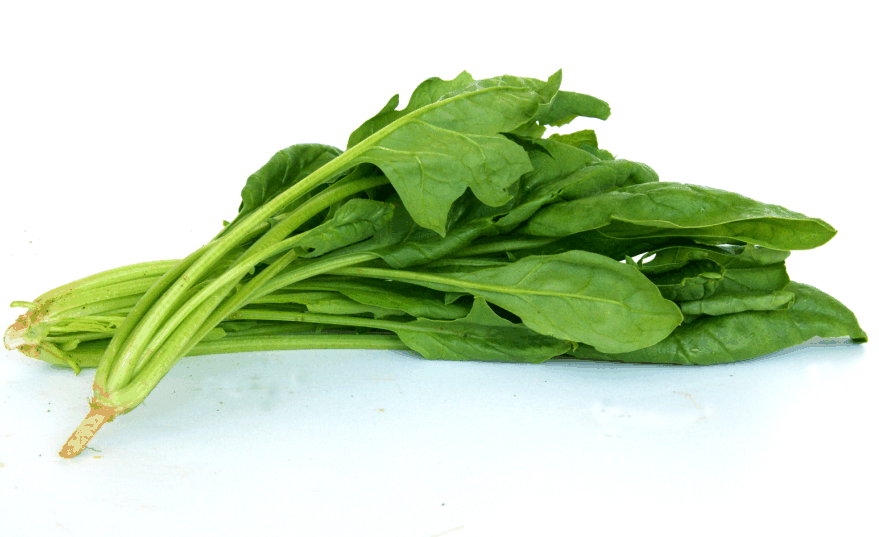 ผักกาดชุนฉ่าย (ผักโขมจีน) chinese spinach