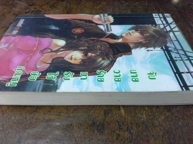 จับนายวายร้ายมารับใช้ยัยคุณหนู