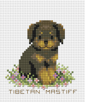 ลูกหมาแสนรัก TIBETAN MASTIFF