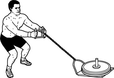 วี กริฟ Chinning Triangle .