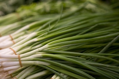 ต้นหอม Green Shallot