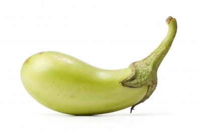 มะเขือยาวเขียว thai eggplant