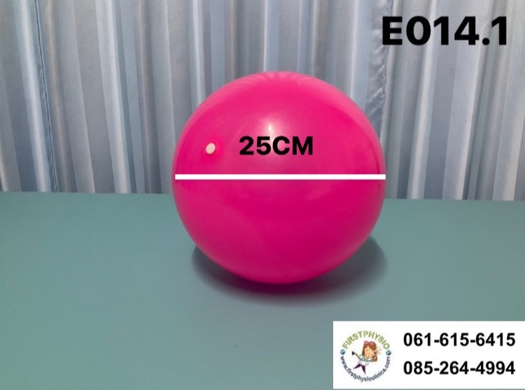 ลูกบอลกายภาพ ขนาด 25 cm. /ลูกบอลออกกำลัง /บอลกายภาพบำบัด (Fitball Mini)