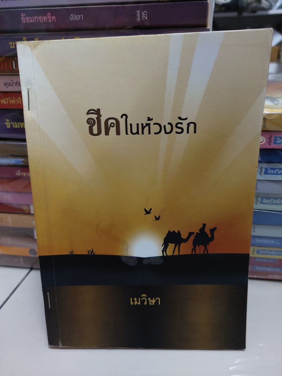 ชีคในห้วงรัก /เมวิษา