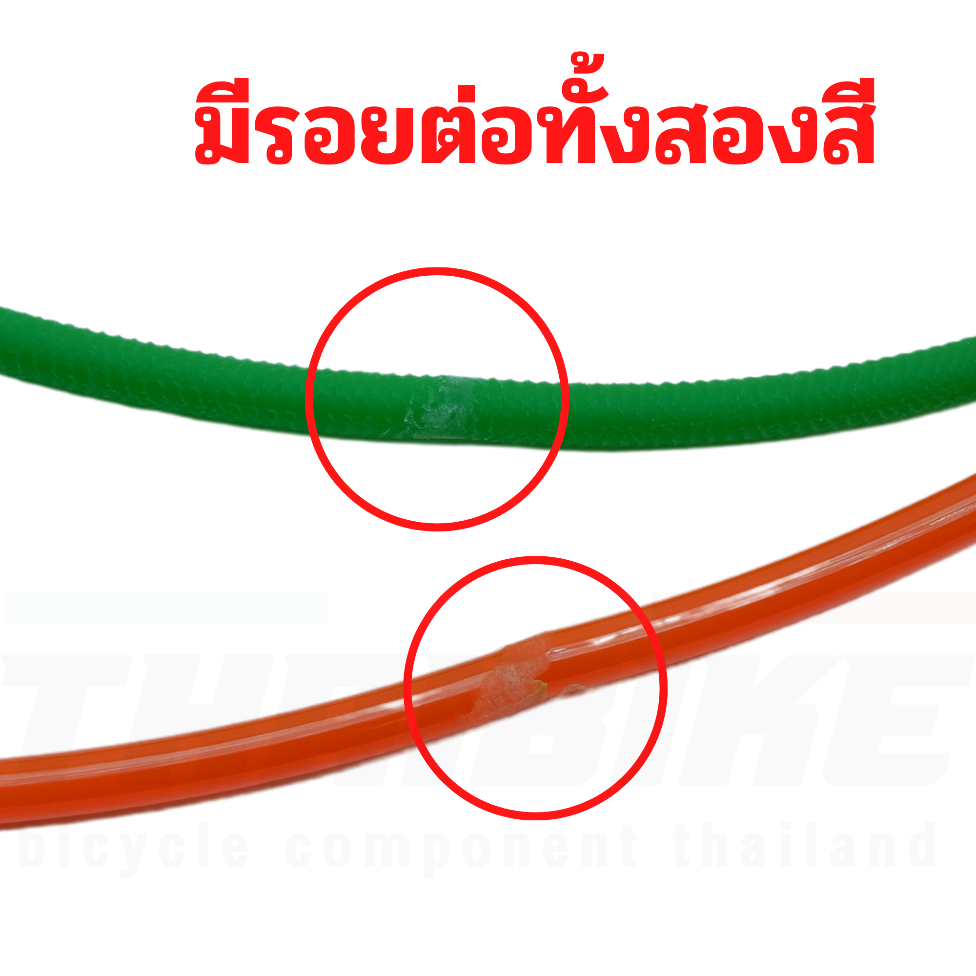 สายพานเทรนเนอร์จักรยานสามลูกกลิ้ง สายพานเทรนเนอร์ THAIBIKE