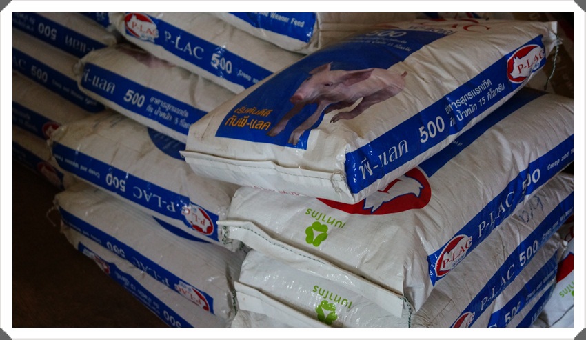 อาหารสุกรเลียราง P-lac 500 พี-แลค