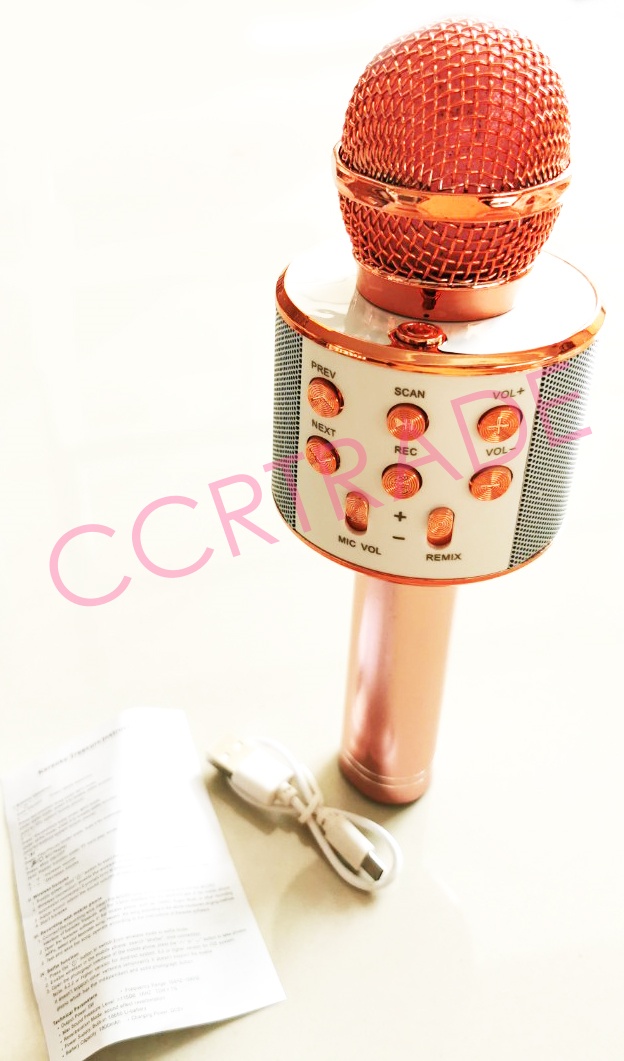 ไมโครโฟน Bluetooth มีลำโพงในตัวกล่อง 25 ซม.(1x3)