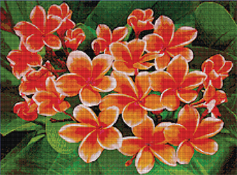 ลีลาวดีสีส้ม